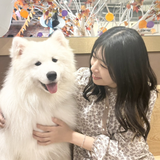 かわきた　れな