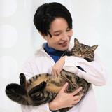 Hayunbo