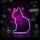 NeoncaT Studio