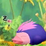 わち！