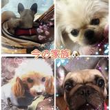 †Wist❤︎霊視透視鑑定　ギフテッド