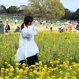tomo_wk