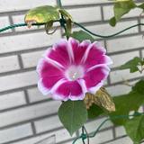 お話、聴きます