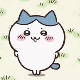 chiikawa_hachi