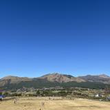 cantakikurage