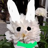 あぜみちたろー