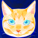 Chatora_Design