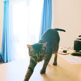 qたくあんp