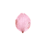 mill_c（みる）