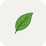 tealeaf07