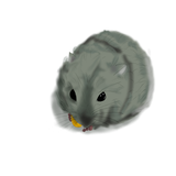 ナスズ