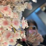 心の魔法で奇跡を起こす  奏愛です