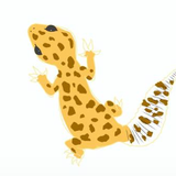 チチカネ