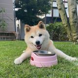 もり、