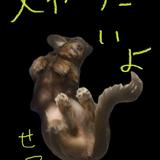 まぁまあせちこ
