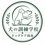 dogcareshunan