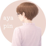 ayapin_web