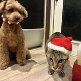 やさしい経理まるっと記帳さん