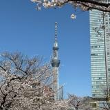 みふねふみ
