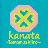 kanata33