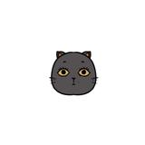 vel_six