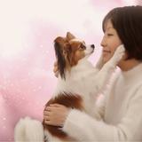 NANA　ペットと飼い主さんのヒーリング