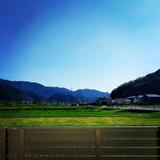 hosomike