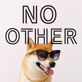 NO OTHER design