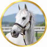 HORSE　LOVER　FACTORY