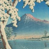 Mitsuhiro Y