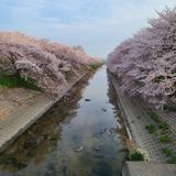 ならのまきお