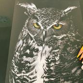 セナにこ。