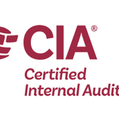 内部監査プロフェッショナル