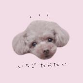 たろたろぉ