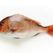 inumusi