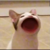 俺トレの部屋