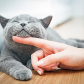 なつき｜友達のような相談室