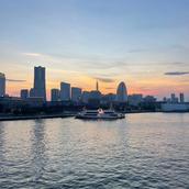 ビートル◼︎ぐっすり眠れます様に