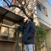 ぽみぽぽ