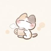 bbsnm