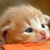 圧倒的な差別化しませんか？