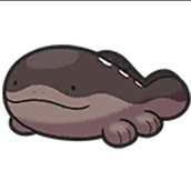 Erk1155