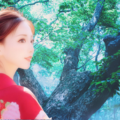 ❁雪月花