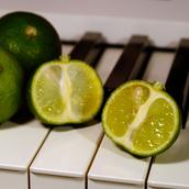 Sudachi Piano