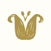 vanillabeanz