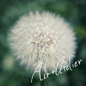 Air plus atelier