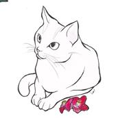 槌田ひろこ