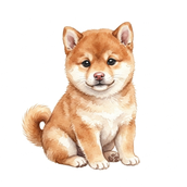 ほたる WEB制作