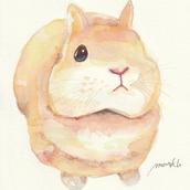 markU_01
