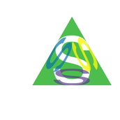 SSSSurF（サーフ）